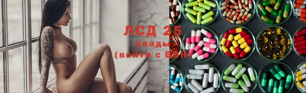 PSILOCYBIN Щигры