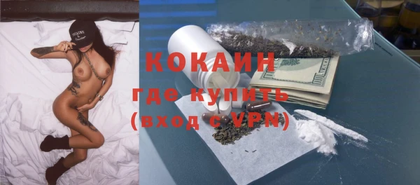 mdpv Каменка