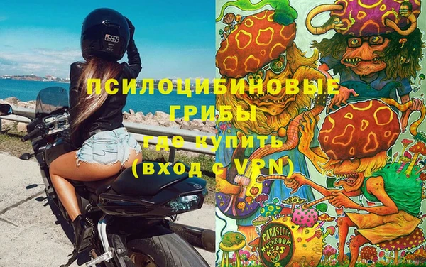 ешки Карпинск