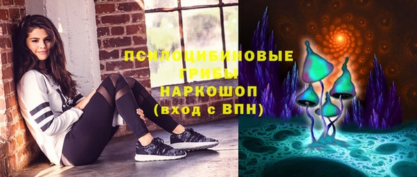 ешки Карпинск