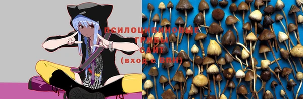 ешки Карпинск
