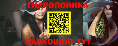 трава Донецк