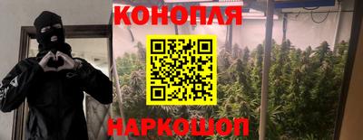трава Донецк