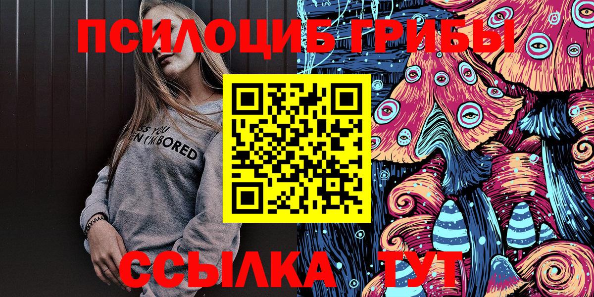 Сокол  Псилоцибиновые грибы Psilocybe  Вход с VPN 